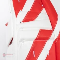 CCM Extreme Flex E5.5 Youth Goalie Leg Pads -Bauer Store ccm leg pads ccm extreme flex e5 5 youth goalie leg pads 27988494352450