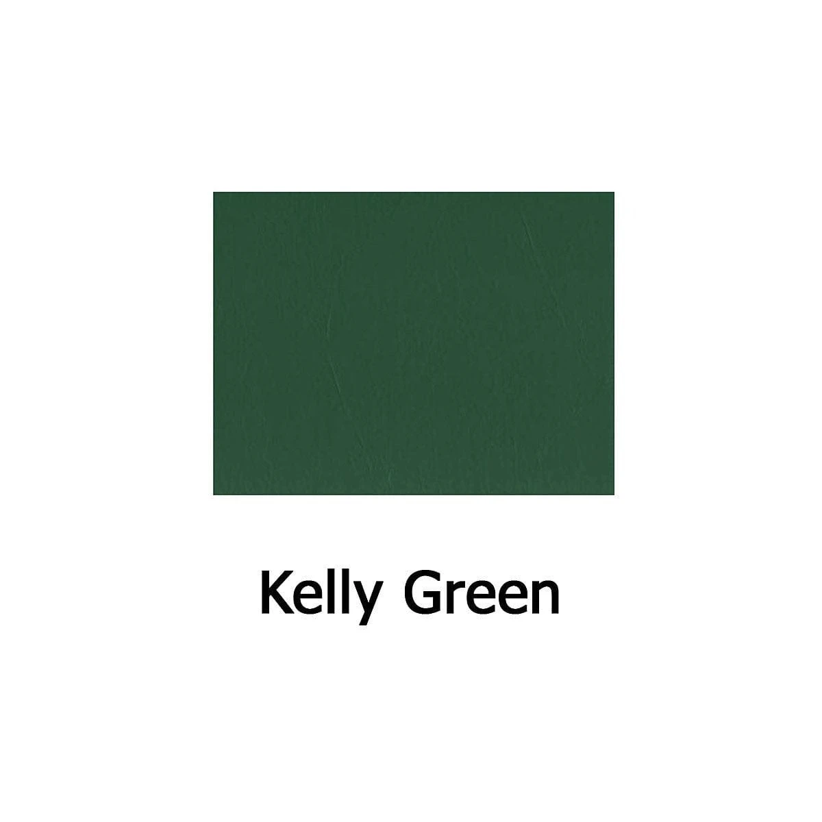 Pad Skinz - Large 5 Pad Skinz - Large - Image 5